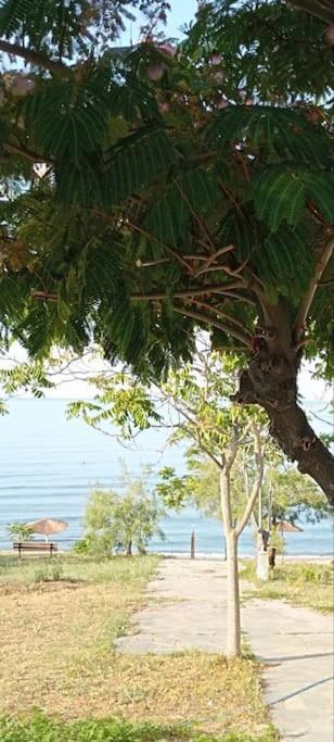 Pomegranate Seaside Corner Villa Fanarion Luaran gambar