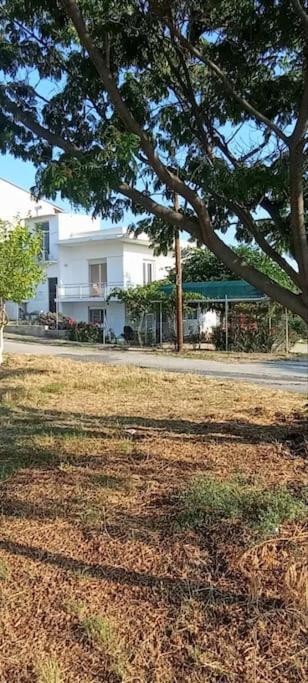 Pomegranate Seaside Corner Villa Fanarion Luaran gambar