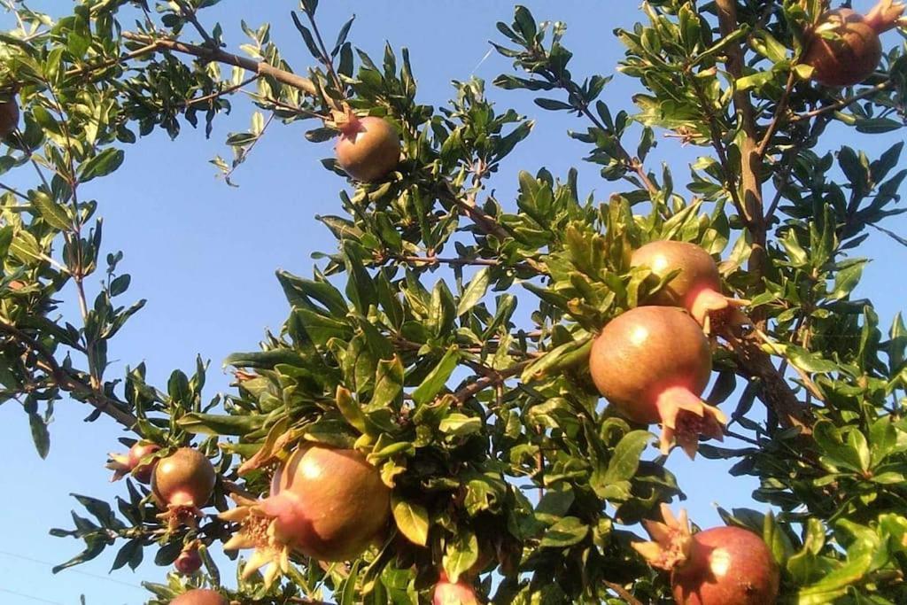 Pomegranate Seaside Corner Villa Fanarion Luaran gambar